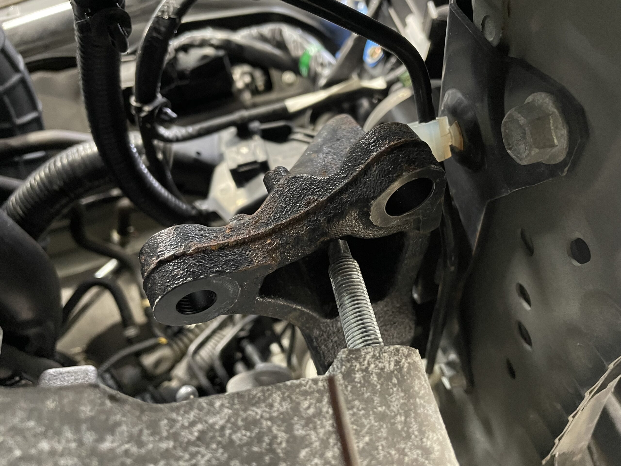 ZC33Sスイフトスポーツ 強化EGマウント