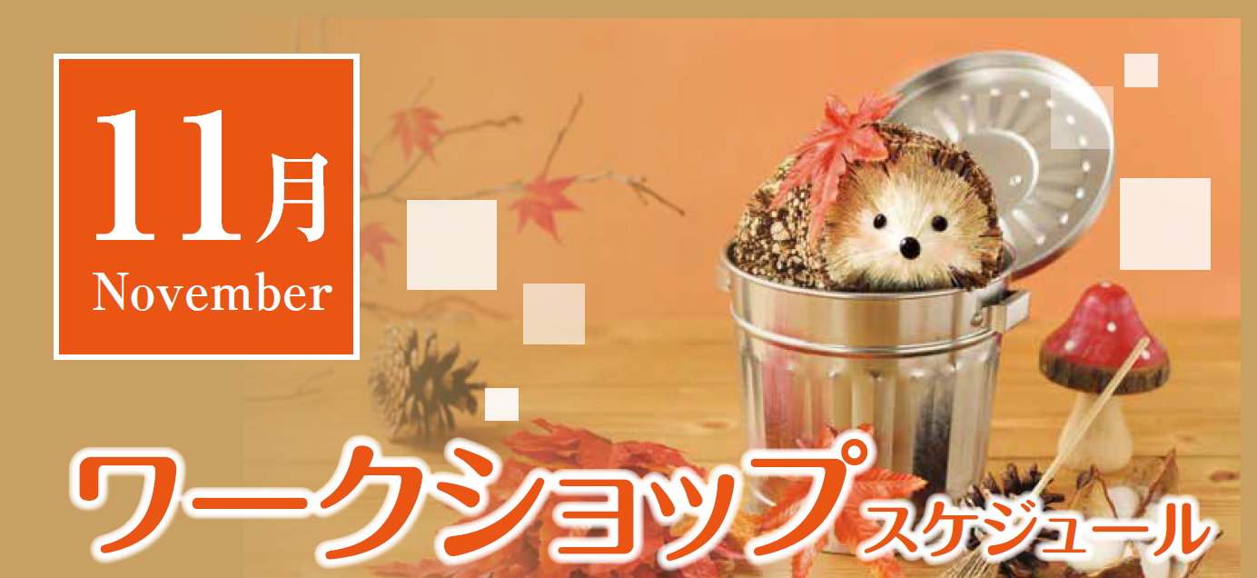 １１月ワークショップスケジュール